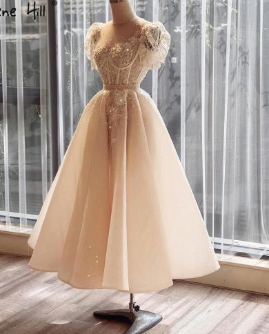 beige lace long dress Beige Floral Jacquard Puff Sleeve Mini Dress - Event Dresses