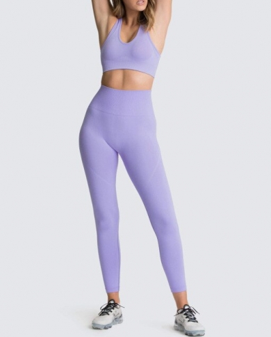 2 Piece Suit Women Seamless Yoga Set Fitness Sports Bra High Waist