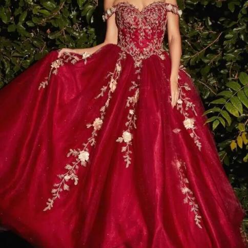slim fit dress slacks Ball Gown Quinceanera Dress with Tulle Cape main image 1